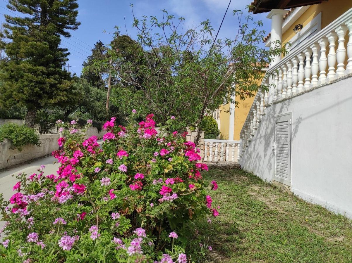 הוילה Akrotiri  Stranis Hill House Zakinthos מראה חיצוני תמונה